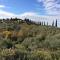 FAETOLE typical Tuscan country house near FLORENCE