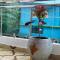 La Paradise Luxury - TIE Hotels & Resorts
