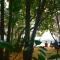 Lakefront Beach Homes