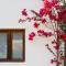 Can Vistabella Boutique Resort