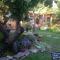 Alice Guest house