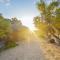 Kizingo Beach Eco Lodge