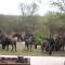 Turaco Lodge