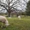 St Joseph Farmstead - North Little Rock