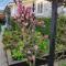 Dalkeith Boutique Bed & Breakfast