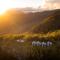 Binna Burra Sky Lodges - Beechmont