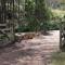 Hidden Gem, Megalong Valley, Blue Mountains
