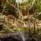 Hidden Gem, Megalong Valley, Blue Mountains