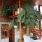 Family House - Apartmany Zuzana
