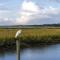 Sandpebble Beach Club Surfside Beach a Ramada by Wyndham - ميرتل بيتش