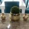 T' Primage Suite on Ten South - Durban