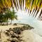 Moonrise Beach