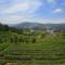 Western Valley Resorts - Ooty