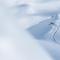 Appartement skis aux pieds à La Tania - 6 pers, 2 pièces cabine, balcon, proche commerces, navette - FR-1-182A-11 - 谷雪维尔