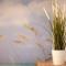 -MalagaSunApts- Stylish City Centre Pool&Parking