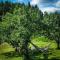 Romantic farmhouse with idyllic garden - Bamble