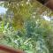 Budas Homestay Lemukih