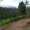 Budas Homestay Lemukih