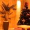 Aida Guest house