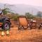 Anantvan Ranthambore By Asapian Hotels - Khilchīpur