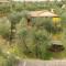 La Casina, private villa with A/C in Val di Chiana - Scrofiano