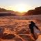 Wadi Rum Old Bedouin Camp