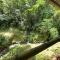 Esquipulas Rainforest