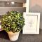 GOOD PLACE 4U Apartament na Jurze