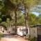 Camping Lou Cantaire photo 20