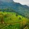 Zostel Plus Wayanad