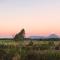 Tongariro Estate - 国家公园