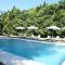 charming house with private pool in lagnes, near isle sur la sorgue, in the luberon, in Provence, for 8 people - Lagnes