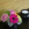 B&B de Taller-Hoeve