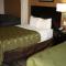 Quality Inn & Suites Wichita Falls I-44 - Wichita Falls