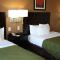 Quality Inn & Suites Wichita Falls I-44 - Wichita Falls