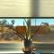 Whistling Cloud/ Design+Desert Views+National Park - Joshua Tree