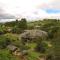 The Homestay