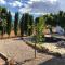 'Coll de Rates' Beautiful 1-Bed Apartment - Alcalalí