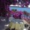 Apartments Ana Trogir