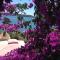 Apartments Ana Trogir