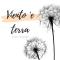 Viento e terra