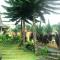 Tunjung Sari Villa Bedugul