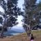 Manaaki Mai, Rustic Retreat Bush Cabin