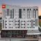 Ibis Aruja
