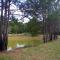 10 beds 5 baths 24 acre Lake Property minutes The Woodlands TX - مانغوليا