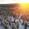 Aurora Cabin - Saariselkä