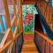 Viscas Lodge