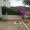 Apartman Paiz