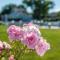 The Sparhawk Oceanfront Resort - Ogunquit