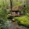 stayNantahala - Smoky Mountain Cabins - Aquone